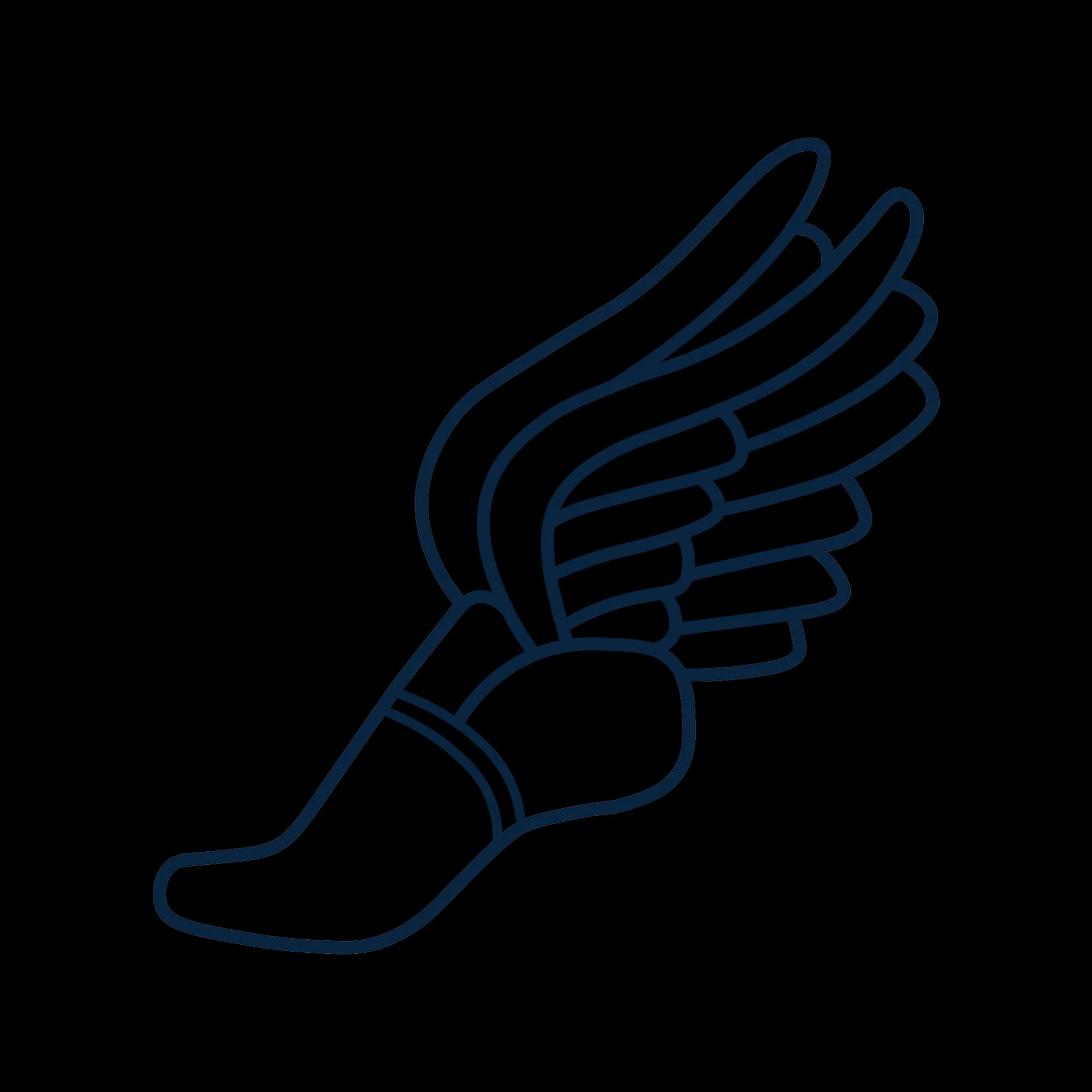 HERMES Team Logo